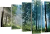 Bild auf Leinwand - Leinwandbild - 5 Teile - Wald Dämmerung Produktbild-Vorschau 1