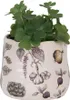 Clayre & Eef Kvetináč Ø 11x10 cm Béžová keramika Zelenina Náhľad obrázku produktu 2