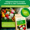 Purgrün -Tulpendünger 1 kg, Produktbild-Vorschau 4