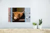 MuchoWow® Poster Schottisches Hochlandrind - Bauernhaus - Produktbild-Vorschau 5