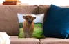MuchoWow® Zierkissen Sofakissen Wohnzimmer Dekokissen 40x40 Produktbild-Vorschau 2