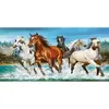 Castorland Call of Nature 2000 pcs, 2000 Stück(e), Tiere, 9 Produktbild-Vorschau 2