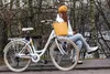 Vélo de ville 6 vitesses Cantaloupe 26 pouces KS Cycling Voir les images du produit 10