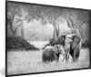 MuchoWow® Gerahmtes Poster Baby-Elefant mit ihrer Mutter - Produktbild-Vorschau 1