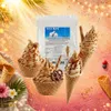 IceBär Polvere per gelato soft al caramello salato 1 kg per Anteprima dell’immagine prodotto 8