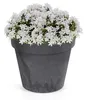 Prosperplast Blumentopf - Betonoptik - anthrazit - Produktbild-Vorschau 2
