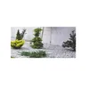 Grys granitowy 8-16 mm - 300 kg (15x20 kg) Dalmatyńczyk - Podgląd zdjęcia produktu 5