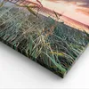 Bild auf Leinwand - Leinwandbild - Einteilig - Strand Gras Produktbild-Vorschau 5