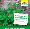 Das Kraftpaket gegen Giersch, schnell sichtbare Wirkung in wenigen Stunden Produktbild-Vorschau