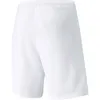 Puma Teamrise Short Jr 003 003 152 Produktbild-Vorschau 4