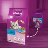 Whiskas Adult 1+ Katzentrockenfutter mit Thunfisch, 6 Produktbild-Vorschau 3