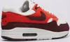 Chaussures Nike Air Max 1 FN6952102 Voir les images du produit 20