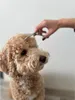 Purlov Hundeschermaschine 23186 Produktbild-Vorschau 11