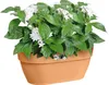 Blumenampel Elho Vibia Campana Kunststoff 35 x 16,2 x 14,8 Produktbild-Vorschau 2