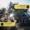 Alcocei Natives Olivenöl Extra 5 L – kaltgepresst aus Produktbild-Vorschau 5