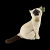 Plüsch-Siamkatze, 30 cm, umweltfreundlich Produktbild-Vorschau 7