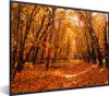 MuchoWow® Gerahmtes Poster Herbst - Wald - Laub - Produktbild-Vorschau 1
