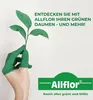 Allflor pierwotna mączka skalna 10 kg - dla lepszych plonów Podgląd zdjęcia produktu 5