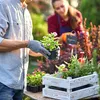 12 tabliczek z łupkiem i patykiem Podgląd zdjęcia produktu 3
