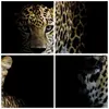 Bilder auf glas - Einteilig - Schattig Leopard Panther - Produktbild-Vorschau 8