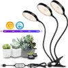 Three LED grow lights with flexible goosenecks clipped to a surface, illuminating a collection of potted succulents. Náhľad obrázku produktu