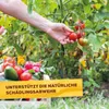 Solabiol Grundstoff Urtica Konzentrat - 1 Liter Produktbild-Vorschau 5