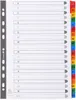 Exacompta Register A4 Weiß 20-teilig 160g Karton Produktbild-Vorschau 1