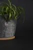 Esschert Design Korkuntersetzer Ø 12,5 cm Produktbild-Vorschau 2