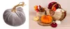 projektdecor Samtkürbis Herbstdeko Höhe 7 cm Produktbild-Vorschau 5