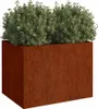 A rectangular planter box filled with green foliage. Náhled obrázku produktu