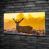 Tulup® Glas-Bild - 100x50 -Wandkunst - Wandbild hinter Produktbild-Vorschau 2