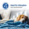 Motorschutzfilter 2x Schmutzfilter für VC 100 VC100 Kobold Produktbild-Vorschau 6