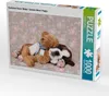 CALVENDO Puzzle Deutscher Boxer Welpe / German Boxer Puppy Produktbild-Vorschau 1