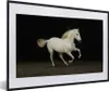 MuchoWow® Gerahmtes Poster Pferd - Sand - Weiß 60x40 cm - Produktbild-Vorschau 1