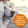 Ardap Spray antipulci da applicare sull'animale 250 ml Anteprima dell’immagine prodotto 6