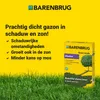 Trawa samozagęszczająca BARENBRUG Na Teren Zacieniony Podgląd zdjęcia produktu 9