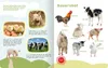 Mein großes Buch der Tiergeräusche Podgląd zdjęcia produktu 6