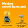 Pedigree 40x 100g - Adult Auswahl in Sauce Produktbild-Vorschau 11