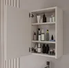 Szafka Łazienkowa Wisząca z Lustrem POLA Kaszmir 40x60 cm Podgląd zdjęcia produktu 14