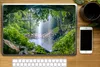 MuchoWow® Laptop Aufkleber Sticker Cover Dschungel - Produktbild-Vorschau 2