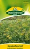 Gewürzfenchel, Großfrüchtiger Produktbild-Vorschau 1