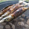Grill-Spieße "pure" 80 cm x 8 mm x 8 mm "Steckerlfisch" Produktbild-Vorschau 5