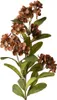 Fiore artificiale Clayre & Eef 70 cm in plastica marrone Anteprima dell’immagine prodotto 1