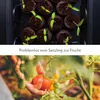 HappySeed Gewächshaus mit 12 Kokos Quelltabletten - Zur Produktbild-Vorschau 6