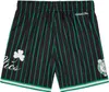 Boston Celtics NBA Mitchell & Ness Hometown Mesh Shorts-2XL Produktbild-Vorschau 2