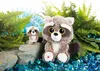 Two plush raccoon toys, one larger and one smaller keychain version, are displayed on rocks with green ferns and blue decorative elements in the background. Produktbild-Vorschau