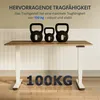 FlexiSpot scrivania elettrica regolabile in altezza 160x80 Anteprima dell’immagine prodotto 3