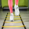 Tréninkový agility žebřík 3 m, koordinační žebřík na Náhled obrázku produktu 7