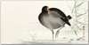 Coloray Bild aus Leinwand 100x50 Leinwand Dekoration - Pet Produktbild-Vorschau 1