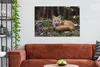 MuchoWow® - Leinwandbilder - Fuchs - Wald - Tier, Wandbild, Produktbild-Vorschau 3